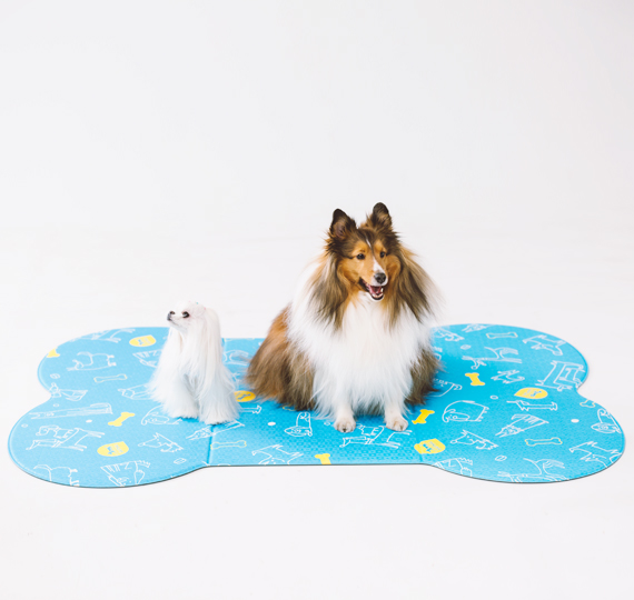 DOG MAT