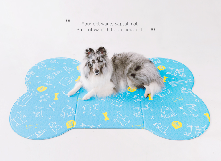 Pet mat